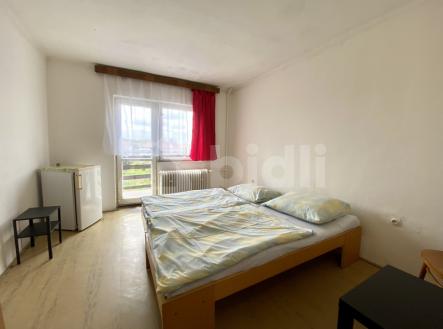 Pronájem - penzion, 250 m²