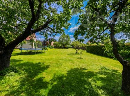 Prodej - pozemek pro bydlení, 811 m²
