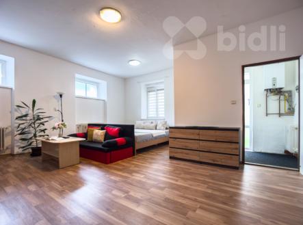 Prodej bytu, 1+1, 61 m²