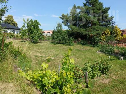 Prodej pozemku pro bydlení, 1 586 m²