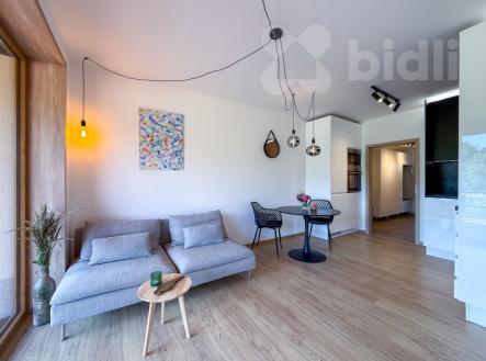 Pronájem bytu, 2+kk, 46 m²