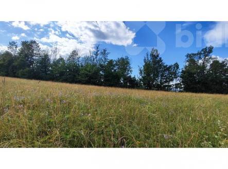 Prodej pozemku pro bydlení, 1 437 m²