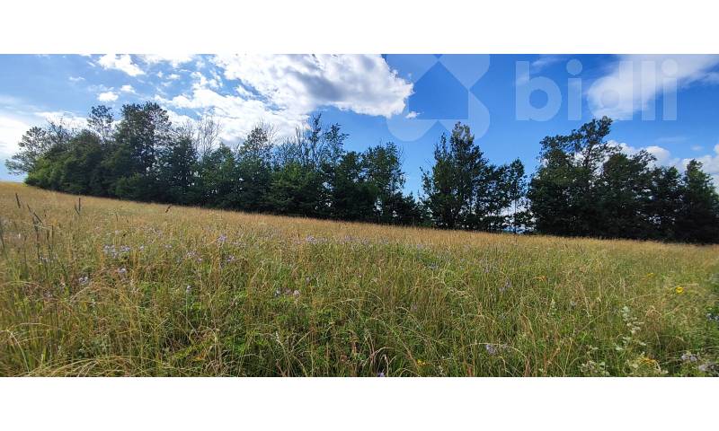 Prodej pozemku pro výstavbu rodinného domu 1437m2 v Krkonoších