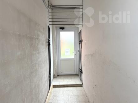 Pronájem obchodní prostor, 100 m²