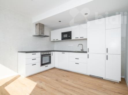 Pronájem bytu, 1+1, 44 m²