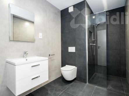 Pronájem bytu, 1+1, 44 m²