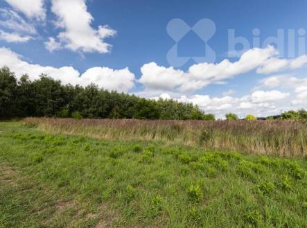 Prodej pozemku, zemědělská půda, 12 088 m²