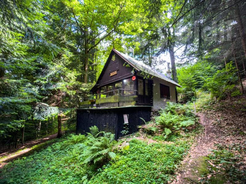 Prodej chaty o velikosti 38 m2 v lese s elektřinou