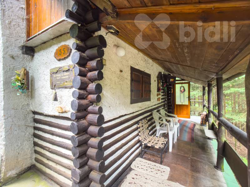 Prodej chaty o velikosti 38 m2 v lese s elektřinou