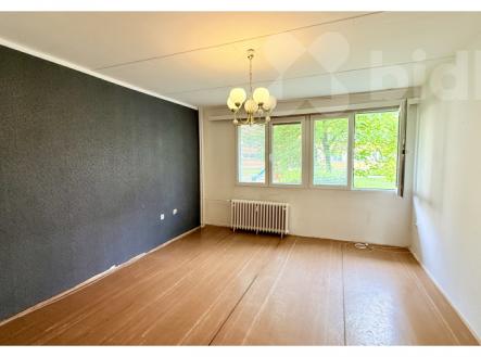 Prodej bytu, 3+1, 60 m²