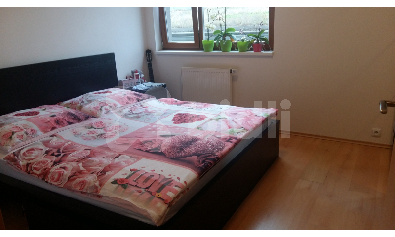 Fotku se nepodařilo načíst.