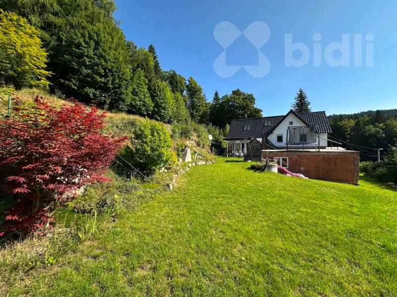 Rodinný dům - Nejdek, užitná plocha 280 m2, pozemek 1622 m2