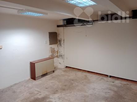 Pronájem obchodní prostor, 48 m²