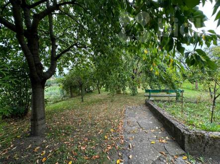 Prodej domu/vily, 326 m²