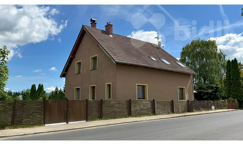 Vizualizace plotu domu