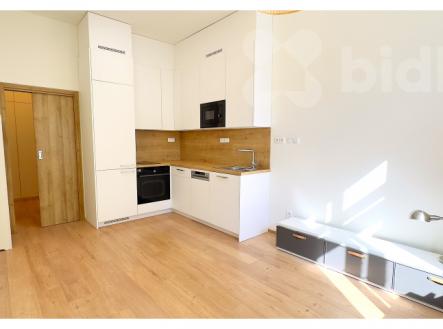 Pronájem bytu, 1+kk, 23 m²