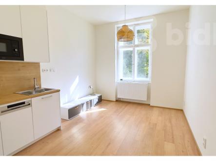 Pronájem bytu, 1+kk, 23 m²