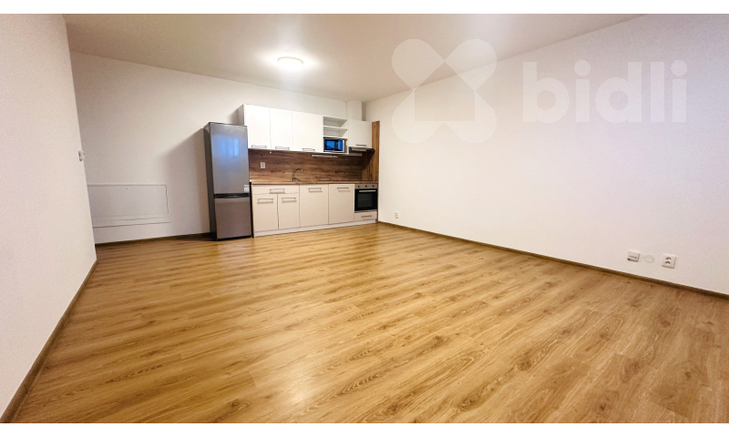 Pronájem bytu 2kk / B, 52 m2 / 4 m2, Chýně