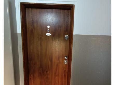 Vhodové bezpečnostní dveře