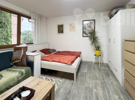 Pronájem bytu, 1+1, 40 m²