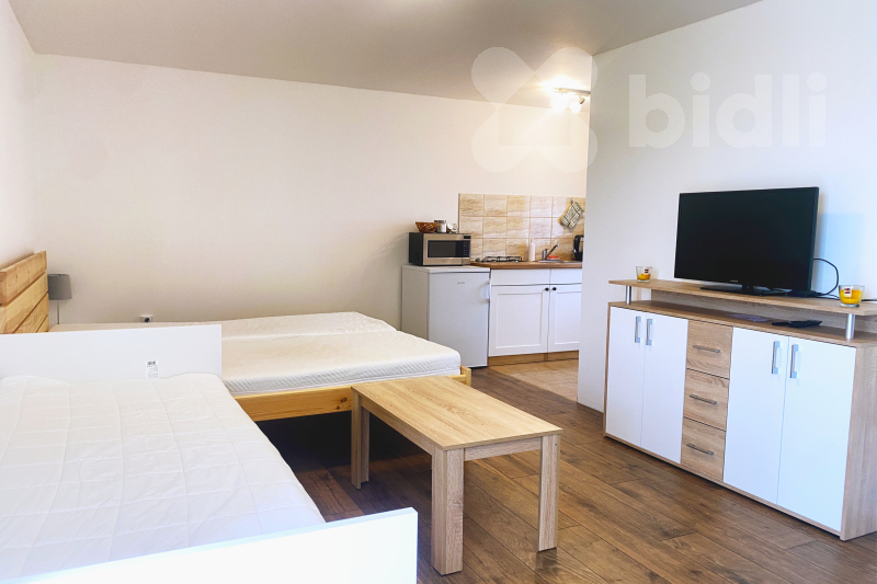 Pronájem bytu 1+kk se zahradou