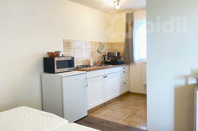 Pronájem bytu 1+kk se zahradou