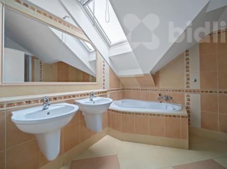 Prodej domu/vily, 335 m²