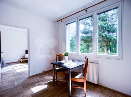 Pronájem bytu, 1+1, 36 m²