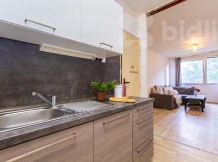 Prodej bytu, 2+kk, 47 m²