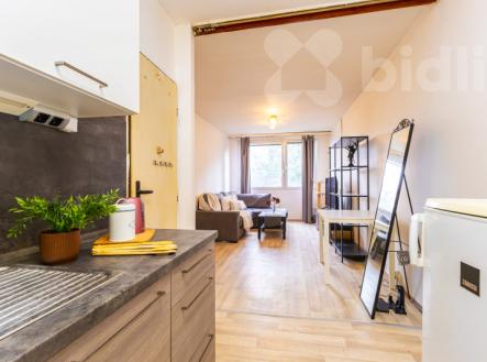 Prodej bytu, 2+kk, 47 m²