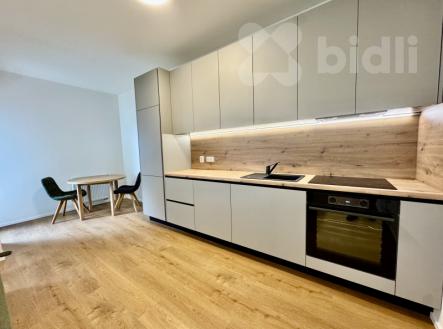 Pronájem bytu, 1+kk, 47 m²