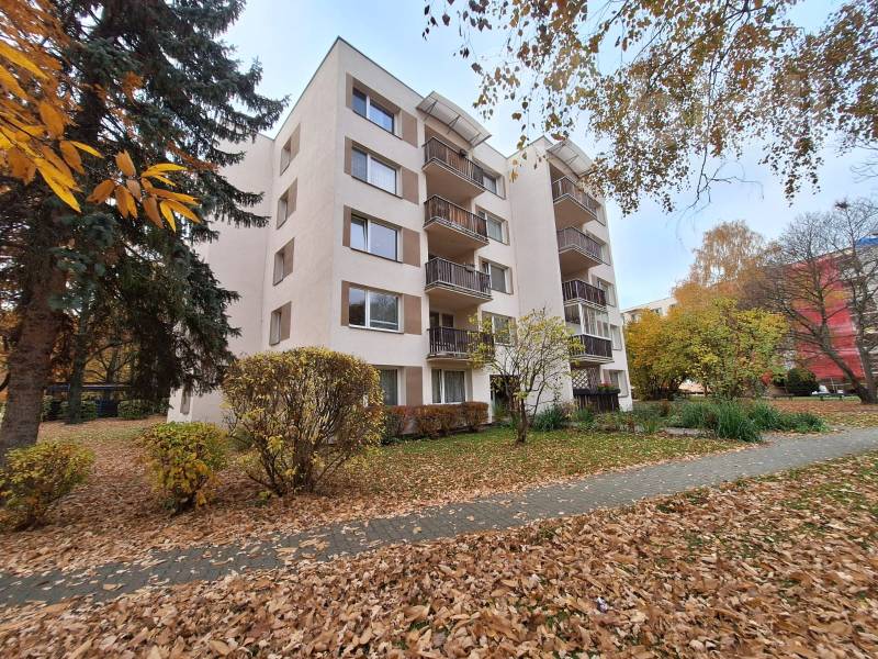 Pronjem bytu 3+1 v České Budějovice, Pražské Předměstí