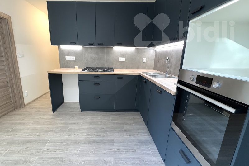 Pronjem bytu 3+1 v České Budějovice, Pražské Předměstí