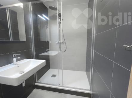 Pronájem bytu, 3+1, 70 m²