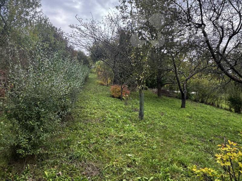 Prodej zahrady-sadu  1872m2, Soběchleby