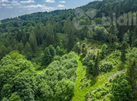 Prodej pozemku, les, 7 528 m²