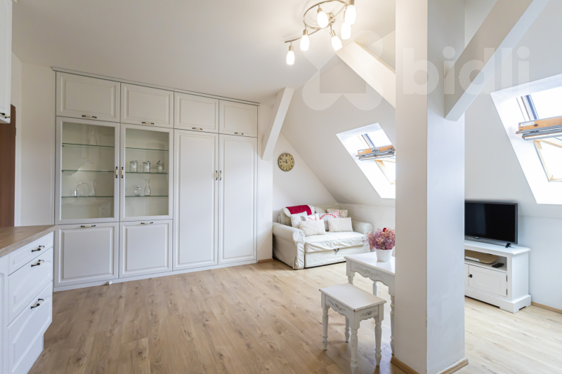 Fotku se nepodařilo načíst.