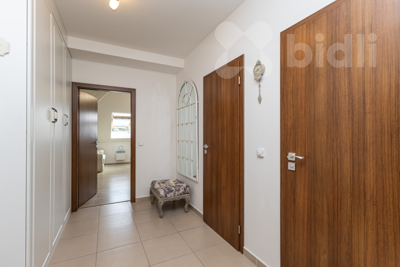 Fotku se nepodařilo načíst.