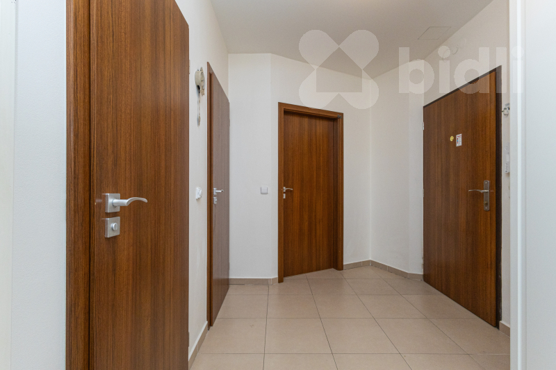 Fotku se nepodařilo načíst.