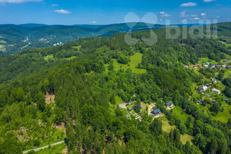 Prodej lesního pozemku 6 085 m2 - Šumburk nad Desnou | Klidné místo v přírodě, ideální pro rekr