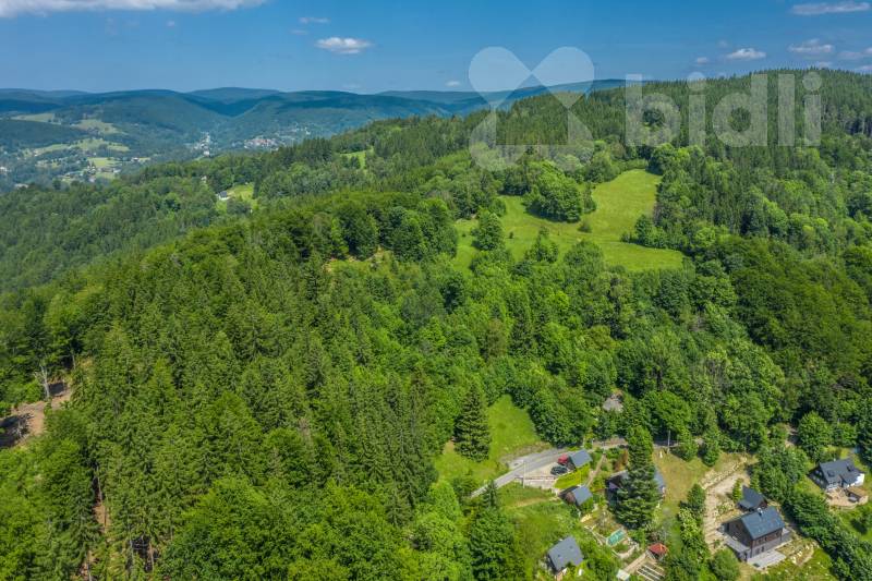 Prodej lesního pozemku 6 085 m2 - Šumburk nad Desnou | Klidné místo v přírodě, ideální pro rekr