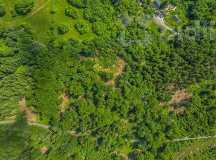 Prodej pozemku, les, 6 085 m²