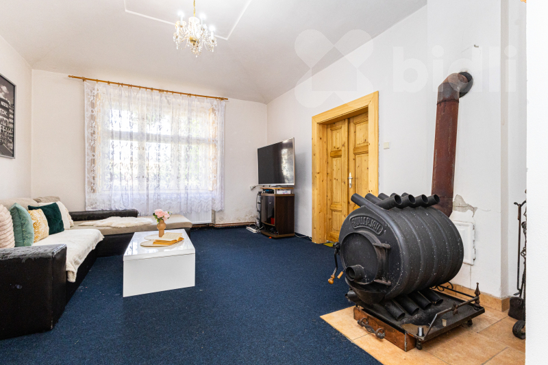 Zemědělská usedlost, RD 5+1, pozemek 160 435 m2, Polerady u Prahy