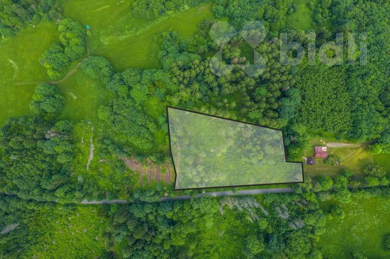 Prodej lesního pozemku 29 930 m2 - Chuchelna | Rozsáhlý les, klid a soukromí, přístup zajištěn