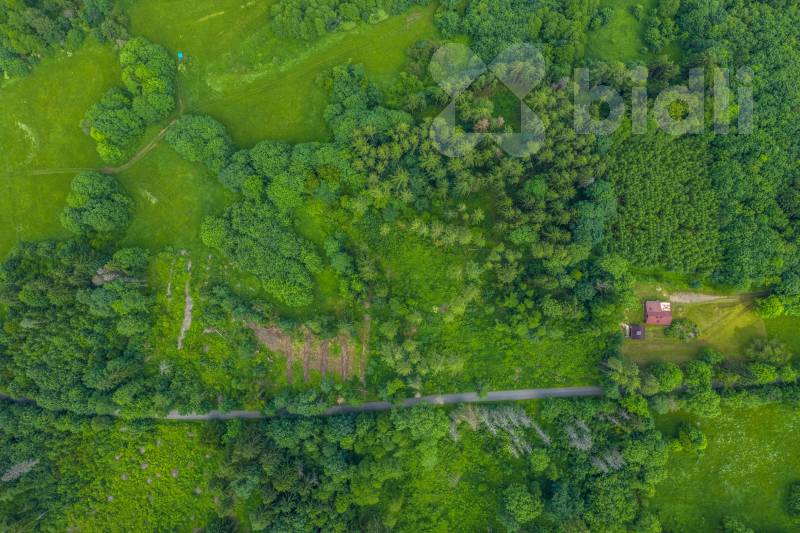 Prodej lesního pozemku 29 930 m2 - Chuchelna | Rozsáhlý les, klid a soukromí, přístup zajištěn