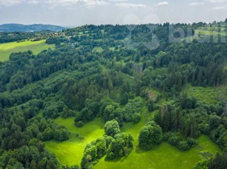 Prodej pozemku, les, 29 930 m²