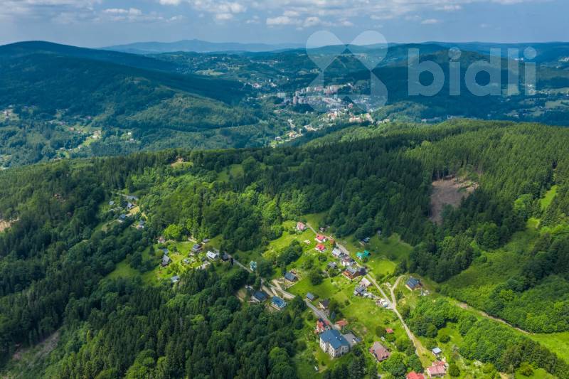 Prodej lesního pozemku 6 696 m&#178; - Šumburk nad Desnou | Klid, soukromí a investice do přírody