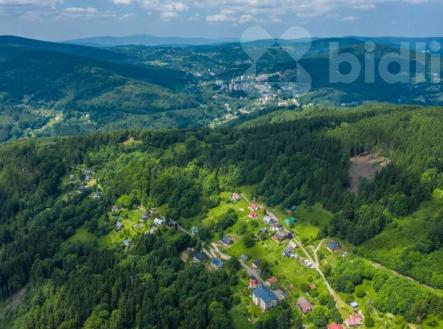 Prodej pozemku, les, 6 696 m²