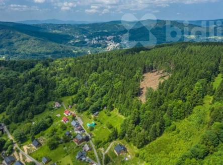 Prodej pozemku, les, 6 696 m²