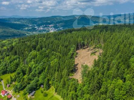 Prodej pozemku, les, 6 696 m²